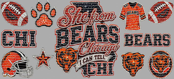 16oz team-NFL 3538